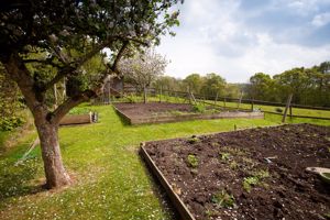 Garden- click for photo gallery